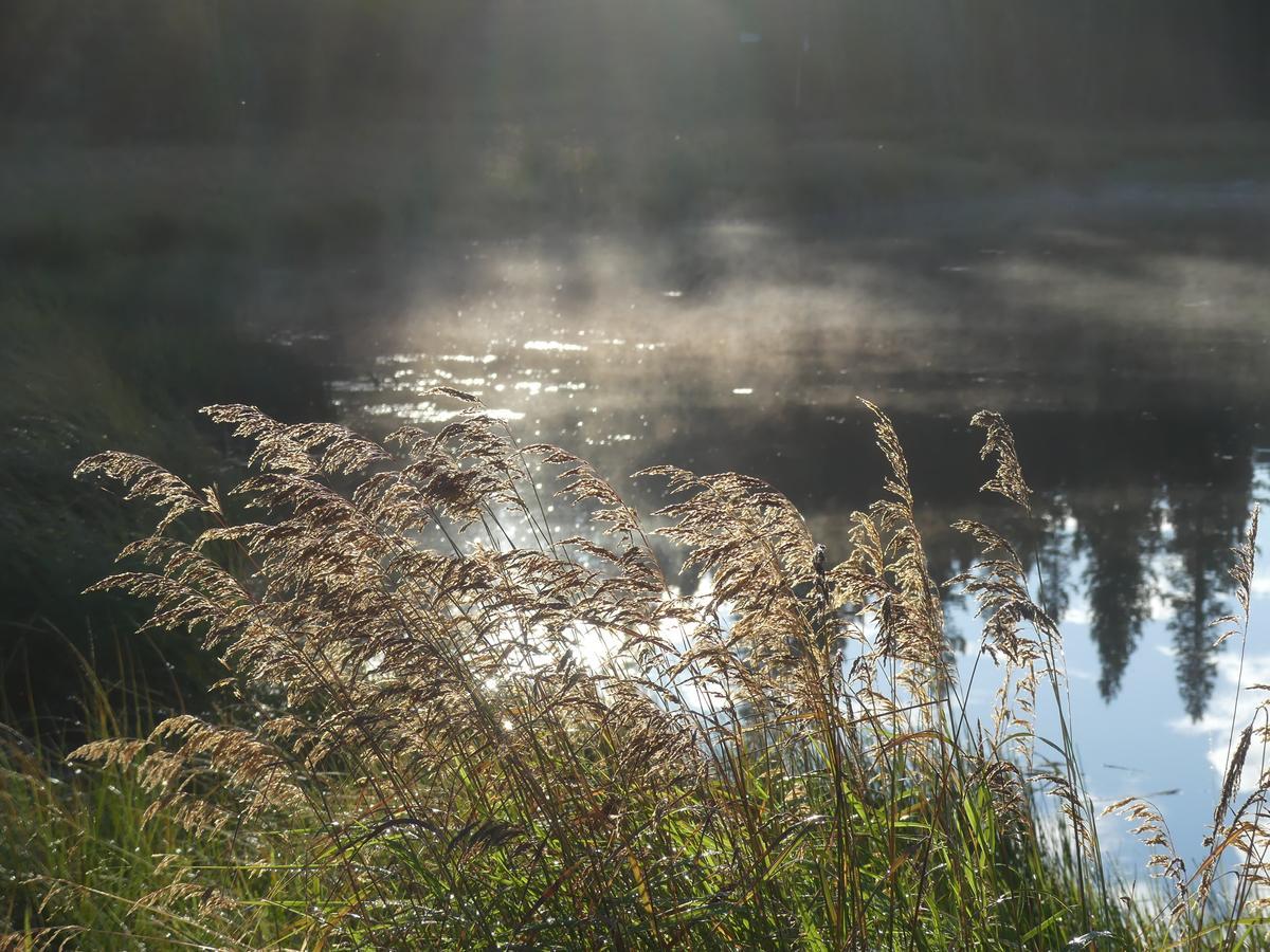 Schott'S Lake Conference & Resort Sundre 外观 照片